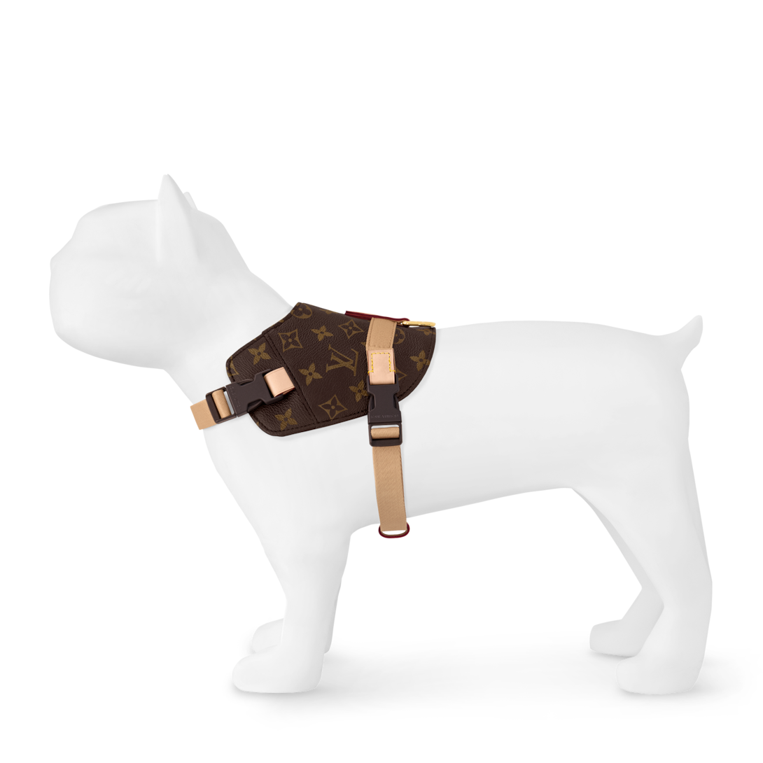 Harness MM - Luxury Pet Accessories - GI1222 Brown | LOUIS VUITTON